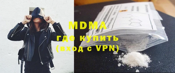 индика Бородино