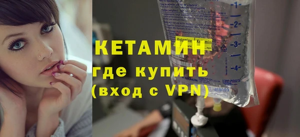 индика Бородино