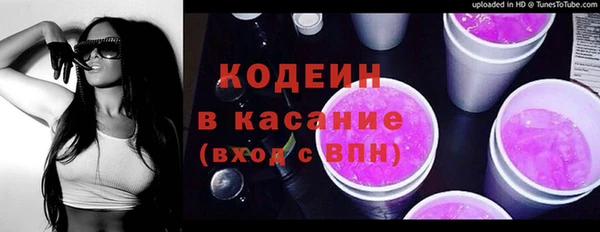 индика Бородино