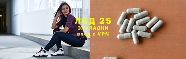 индика Бородино