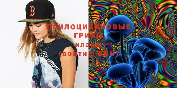 spice Бронницы