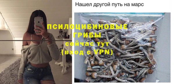 ECSTASY Богородск