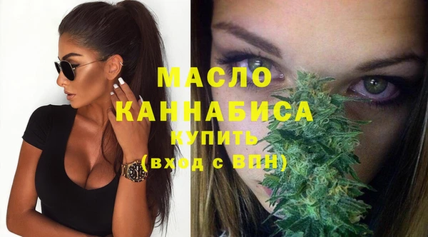 индика Бородино