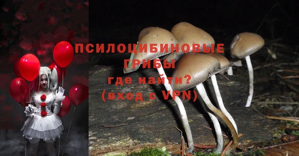 дурь Дубна