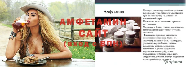 индика Бородино