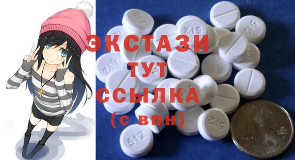 индика Бородино
