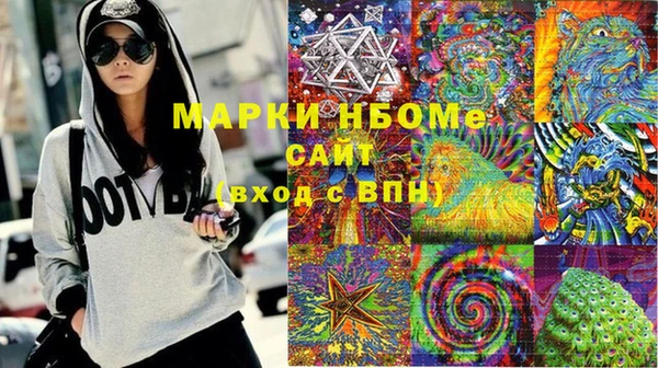 индика Бородино